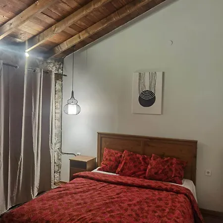 Traditional Stone Cottage In Palio Elatohori Exterior photo